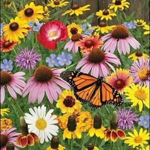 Meet your Posher, Ketyana